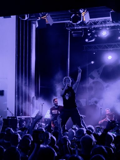 Ein Live-Konzert mit einem Sänger auf der Bühne vor einem begeisterten Publikum.