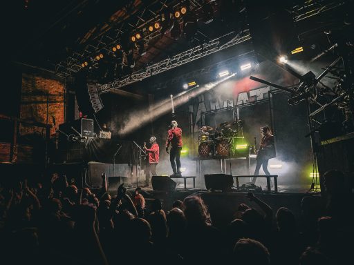 Eine Band spielt live auf einer Bühne mit Lichtern und einer begeisterten Menge davor.