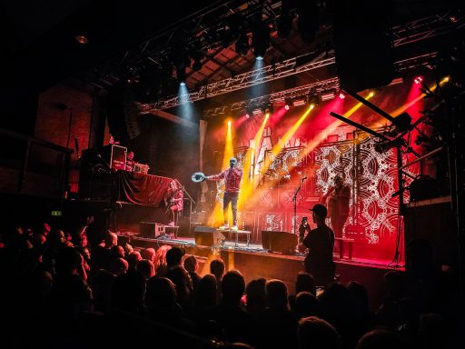 Ein Musiker steht auf der Bühne vor einem begeisterten Publikum bei einem Konzert.